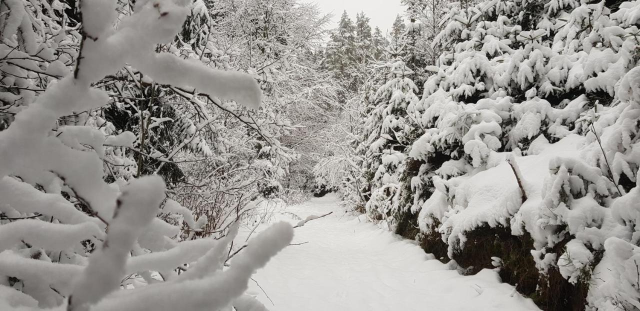 Podskali Adrspach Teplice nad Metují エクステリア 写真